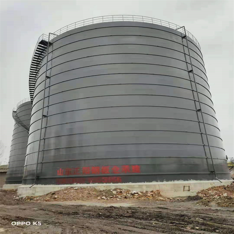 彭山3万吨大型钢板库